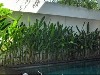 Villa La Sirena 4 by Nagisa Bali