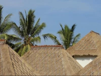 Kanomayasa Ubud Villa