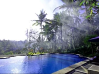 Villa Capung Mas Ubud