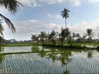 Villa Di Sawah