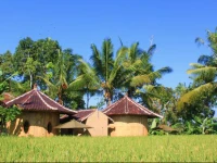 Shriman Yoga Bungalow