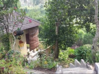 Lasan Mas Guest House