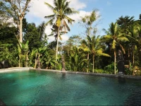 The Ark Holistic Boutique Hotel Ubud