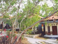 Tregge Surf Camp Uluwatu