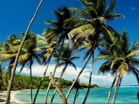 Sugar Reef Bequia 3*