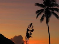 Palm View by Rodney Bay Marina