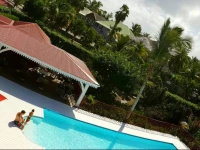 Palm Court Studio 16