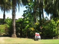 Dulcinea Hotel Oasis