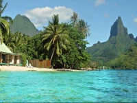 Robinsons Cove Villas - Deluxe Cook Villa