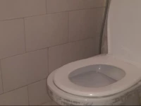 Grand Appartement Duplex