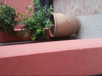 Apartment RГ©sidence Des Golfs