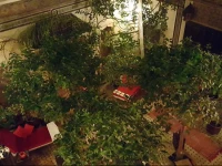 Riad JenaГЇ LAuthentique