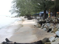 Miami Paradise Homestay