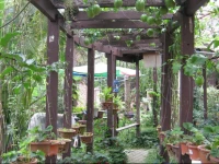 Holidayhome Cameron Highland