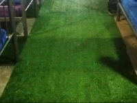 Paper Pepper Delights