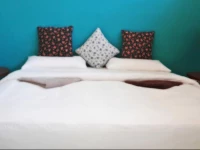 Vintage R Heritage Residence