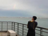 The Light Collection