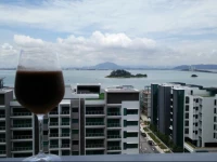 The Light Linear Waterfront