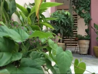 La Casa Homestay in Ipoh