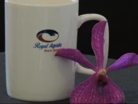 Royal Agate Beach Resort