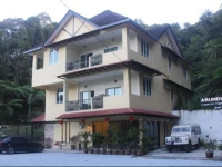 Arundina Cameron Highlands
