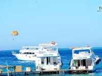 Apart - Bahga Palace 2 Residential Apartments