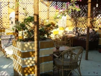 Bob Marley Peace Hotel Luxor