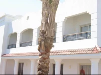 Holiday Service College & Diving 3*