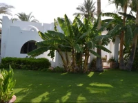 Villa 51 in Coral Bay