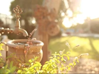 Desert Bird Guest House