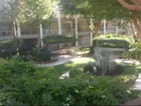 The Royal Park Apartment