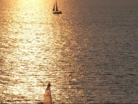 The Sharon - Beach Resort & Spa Hotel