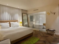 Shenkin Hotel 4*