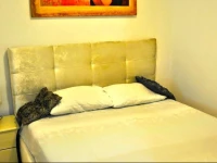 ArendaIzrail Apartment - Kehilat Cleveland Street