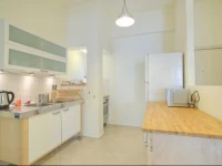 Sirkin/Frishman Apartment