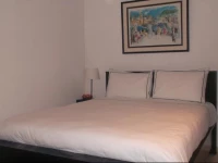 Tranquil in the Heart of The City