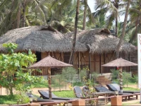 Mariposa Beach Grove