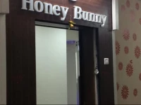 hotel honey bunny 2*