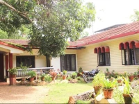 Dream Nest Guest House