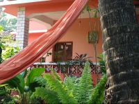 Cozy Dream Apartment