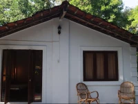 JUNGLE by thehostelcrowd