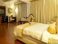 OYO Elite Baga Arpora Road