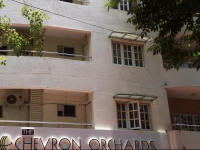 The Chevron Orchards