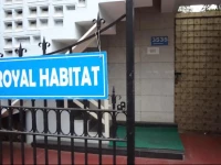 Compact - Royal Habitat