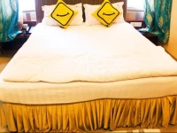 Vista Rooms at Habib Ganj