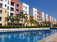 Executive Comfort O.M.R