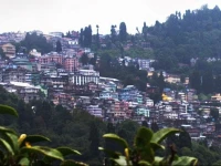 Hotel Seven Seventeen