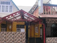 Golden Orchid - The Lodge