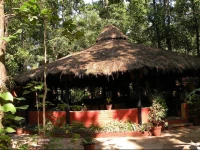 Kanha Jungle Lodge