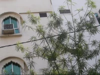 Hotel Abhineet Palace 2*